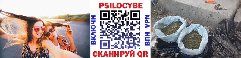 Галлюциногенные грибы мухоморы  Вышний Волочёк 